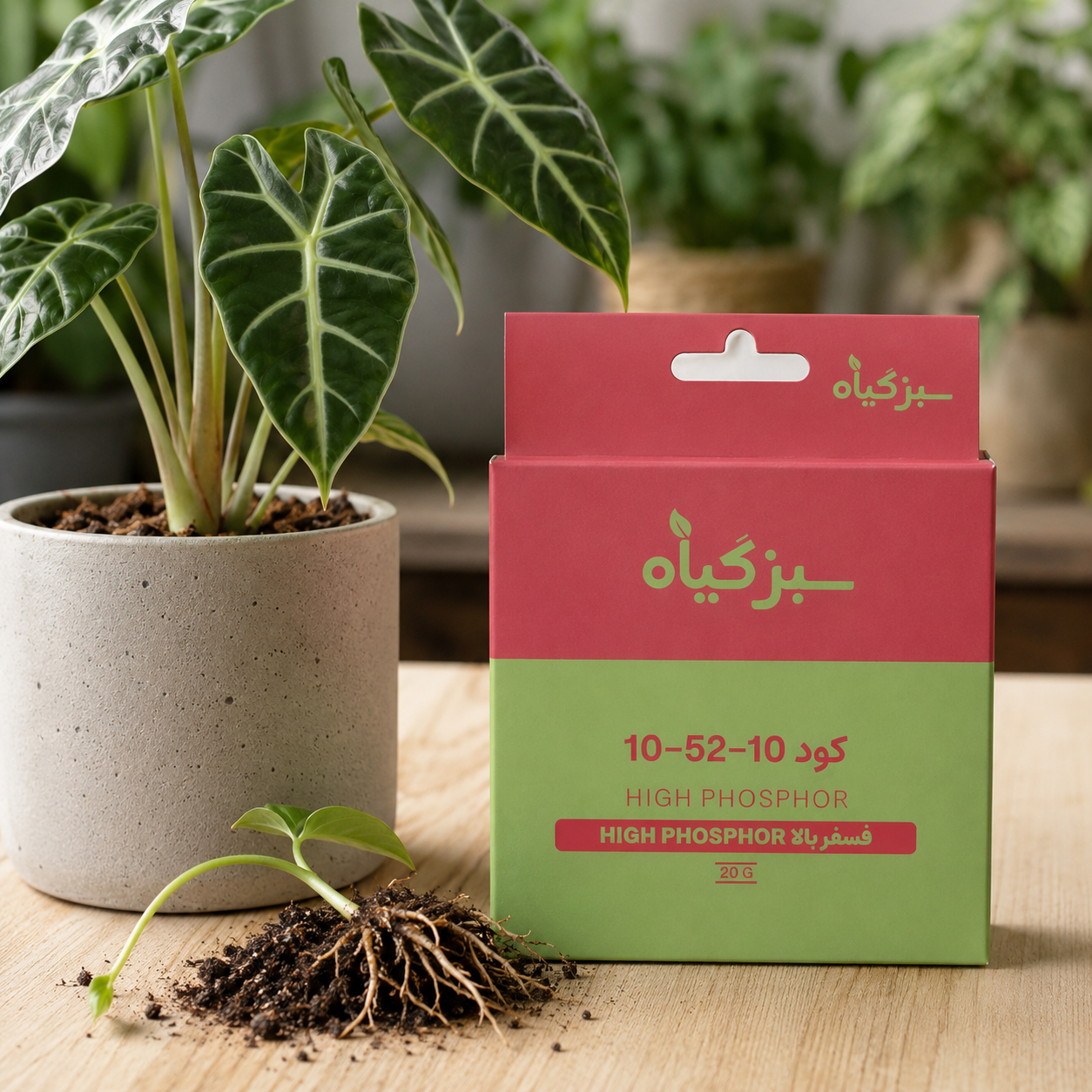 کود 10-52-10 سبزگیاه برای گیاهان آپارتمانی