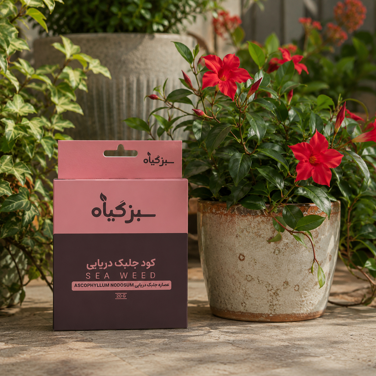 کود جلبک دریایی سبب بهبود گلدهی میشود