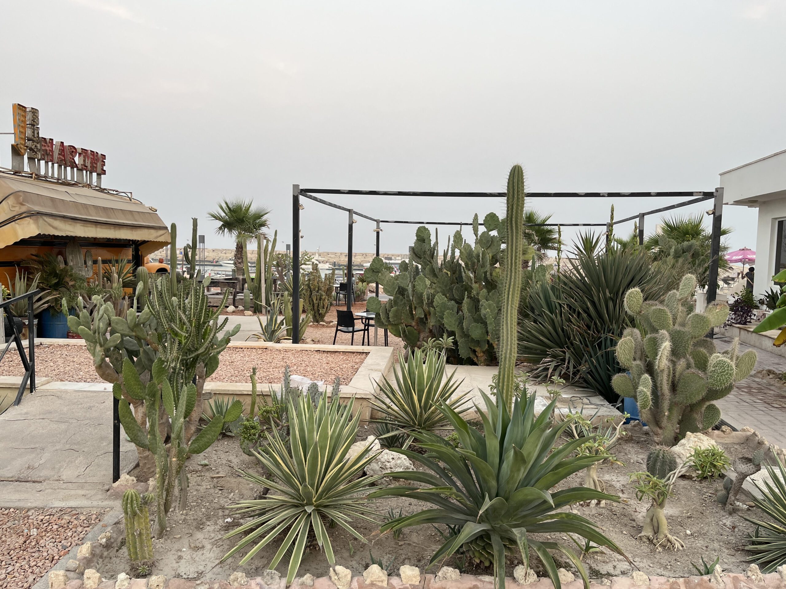 بازدید و مشاوره کافه باس مارین (جزیره کیش)