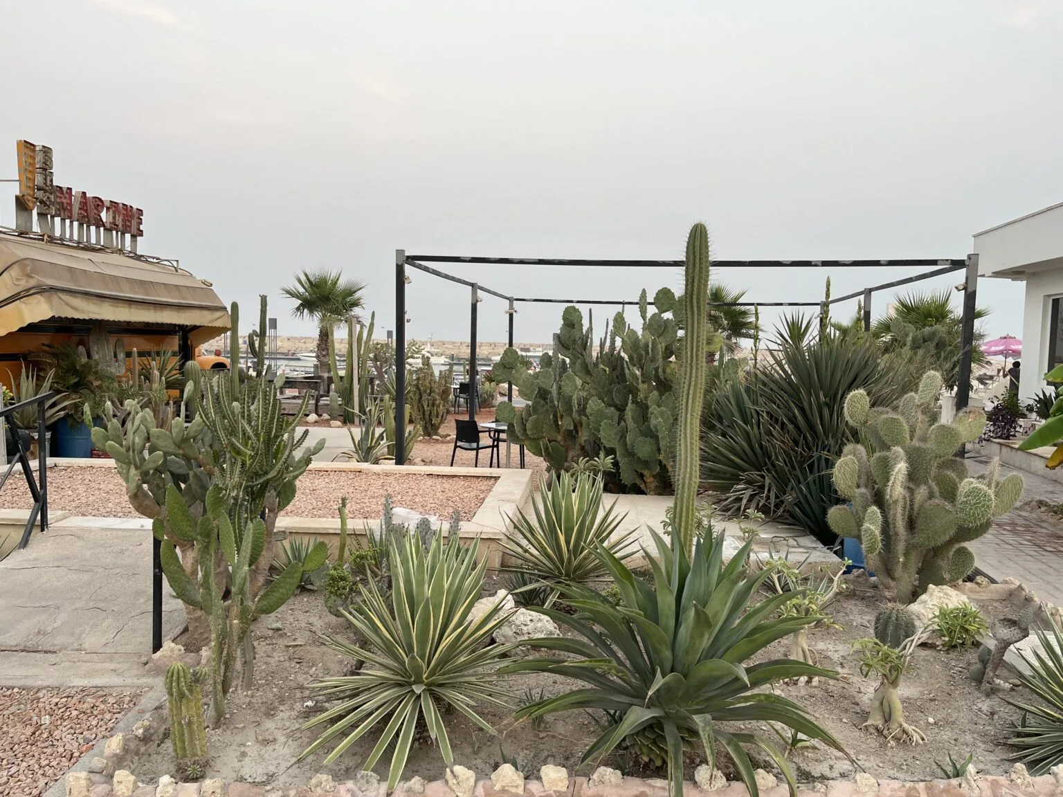 بازدید و مشاوره کافه باس مارین (جزیره کیش)