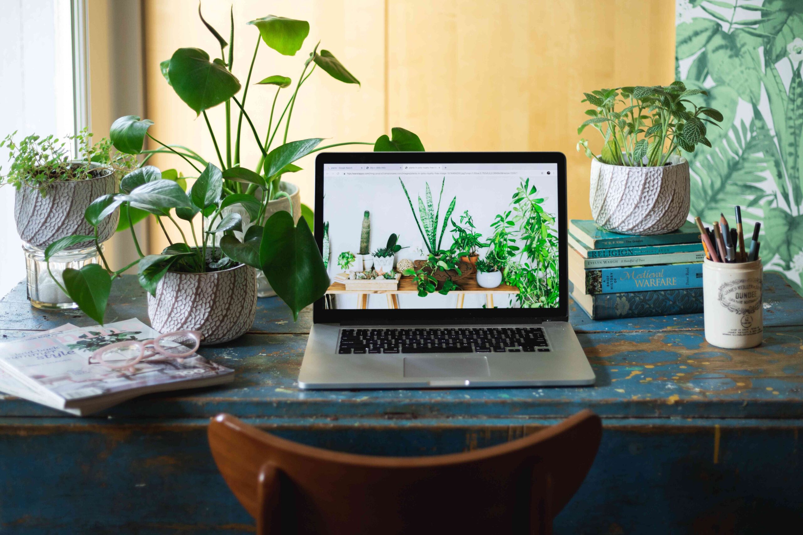 گیاه پتوس یکی از گیاهان مقاوم برای محل کار است
